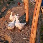 Dimora Dei Cardinali Hétvégi ház Agropoli
