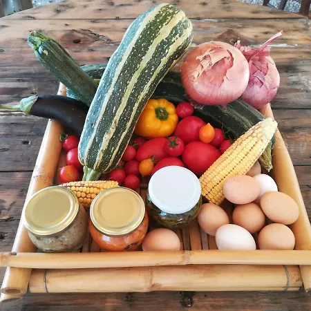 Dimora Dei Cardinali