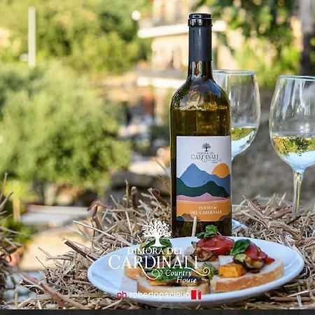 Dimora Dei Cardinali * Agropoli