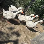 Dimora Dei Cardinali * أغروبولي