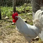 Dimora Dei Cardinali