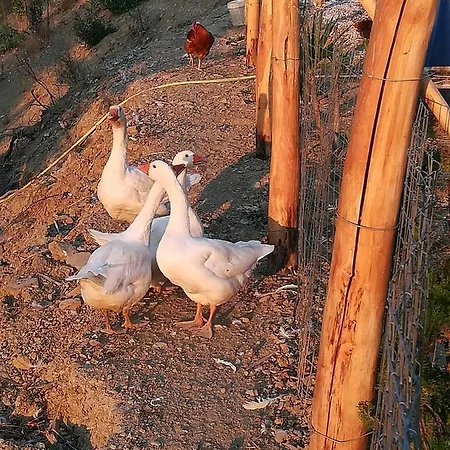 Dimora Dei Cardinali Casa di campagna Agropoli