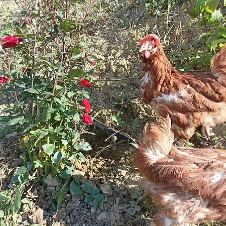 Casa di campagna Dimora Dei Cardinali